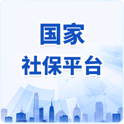 国家社保平台